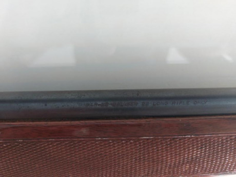 Carabina semiautomática cal. 22 buen estado. Se entrega con funda, capacidad 16 cartuchos. Posibilidad 00