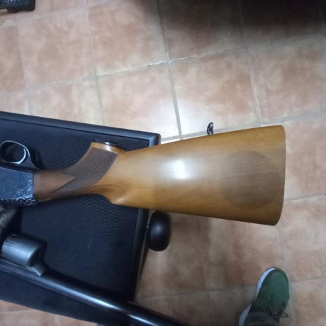 Vendo escopeta beretta cañon SP de 67 cm ánima 18.3 de cuatro estrellas. La escopeta pesa 3 kg. Está usada 01
