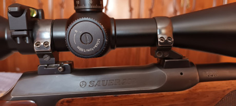 Se vende sauer 202 en 300wm ZURDO, con monturas completas Apell de 30mm,correa con enganches sauer rápidos 01