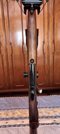 Se vende sauer 202 en 300wm ZURDO, con monturas completas Apell de 30mm,correa con enganches sauer rápidos 00