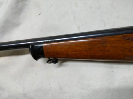 Hola, pongo a la venta una carabina Krico semiautomatica del calibre 22 LR 
la carabina es de un buen 20
