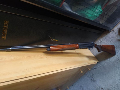 Buenas compañeros 
Vendo mi Benelli centro crío, calibre 12, comprada en 2019 por falta de uso, la tengo 70