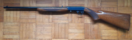 Vendo carabina desmontable Browning 22 lr, buen estado estético y mecánico, cañón impecable recién limpiado 00