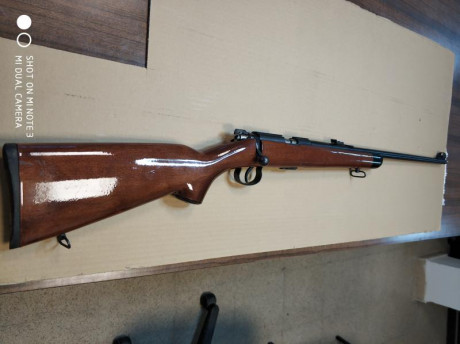 Vendo Carabina de Repetición (cerrojo), Marca Norinco, Modelo JW-15. Cal 22lr.
En buen estado, incluye 11