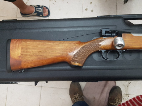 Hola, vendo Breno M98 cal. 308w para hacer hueco en el armero o cambio solo por visor de caza y tubo de 01