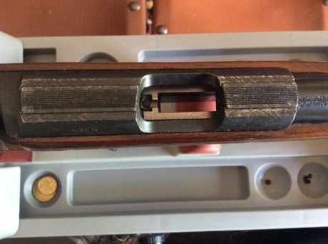 Buenos días!!

Tengo un SAKO Quad Syntetic del calibre 22, para hacer mini FClass principalmente, y un 130