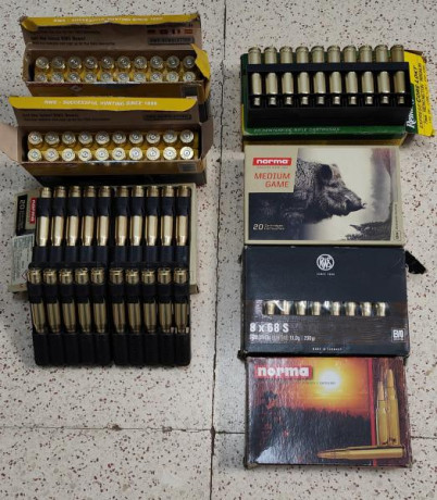 Vendo 120 vainas del 8x68 S limpias de primer tiro, con piston y cajas originales.
70 RWS y 50 NORMA, 01