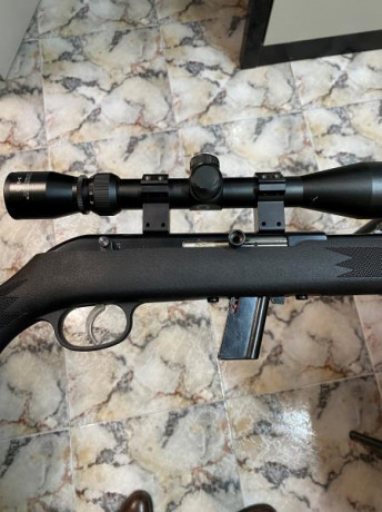 Carabina Savage, modelo 64, calibre .22 LR. Semiautomática. Fibra negra. Perfecto estado. Incluye visor 00