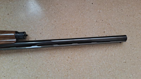 Vendo escopeta Rafaelo Crio del 12, cañón de 71 cm y casi como si la compraras en armería porque no la 12