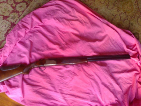 Vendo paralela Sarrio:cañon 71cm 1y3 estrellas,expulsora,valvulas salida gases,gatillo articulado,cantonera 00