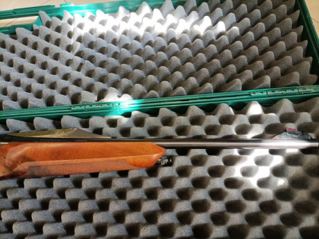 Perfecto estado, tanto estética como funcionalmente, monturas Apel de carril y visor de punto rojo KONUS 10