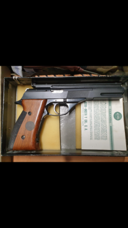 Buenas a todos. Como pone en el asunto, estoy en busca de una pistola calibre 22, tipo Walther P22 o Sig 10