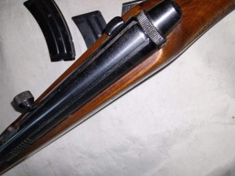 Hola, pongo a la venta una carabina Krico semiautomatica del calibre 22 LR 
la carabina es de un buen 60