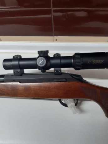 Rifle Tikka T3 Hunter calibre 338 Win mag, carril Picatinni y anillas Warne desmontables de 30. Visor 01