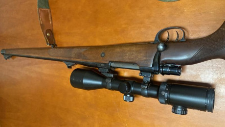 vendido 12
