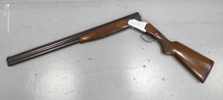 Vendo escopeta Lanber superpuesta calibre 12, tiene punto rojo. Envío a cargo del comprador si fuese necesario, 00