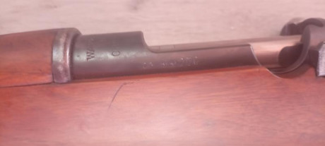 El rifle sueco de 6,5X55 del año 1900 , con todos los números coincidentes, lo vendo con bocacha , funda 10