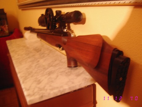 Bueno, por fin he recogido la criatura remodelada tras la operación en profundidad que le ha hecho Javier 01