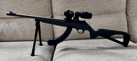 Vendo Winchester Wildcat 22lr, comprada este año, solo se uso para probarla y centrar el punto rojo. Va 02