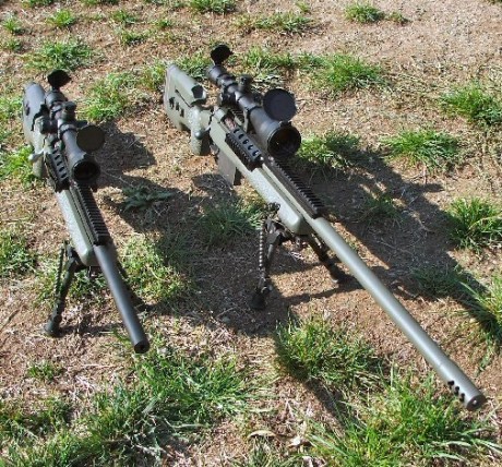 Buenas. Quería saber si me pueden dar el nombre de algún rifle de francotirador excluyendo los de la siguiente 10