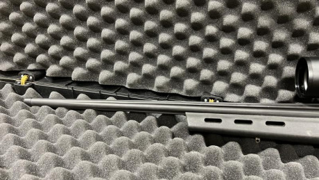 Se vende Remington 700 calibre .308 con cañón semi pesado fluteado y con rosca, lleva montado un disparador 10