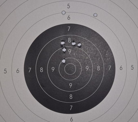 ¿Nos animamos a mostrar blancos de nuestros rifles de caza habituales? Con la munición que habitualmente 92