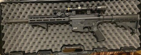Vendo MP15-22 en perfecto estado, solo a disparado 400 tiros, 
Se vende como está en las fotos y con los 00