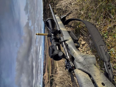 Muy buenas señores, vendo el siguiente conjunto:
Bergara wilderness terrain 300 win mag
Visor steiner 20
