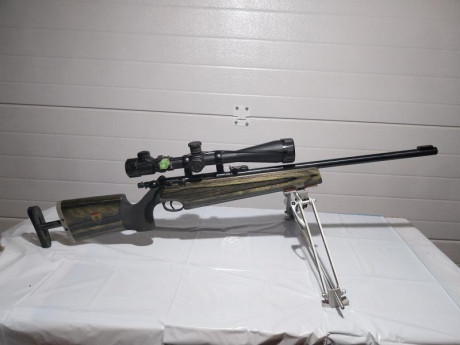 Necesito poner a la venta esta magnifica carabina del .22, se incluye visor y funda,bipode,marca Marlin 00