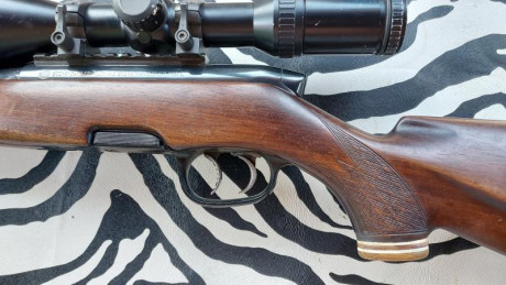 Buenas tardes.
Pongo en venta un Mannlicher modelo S en calibre 308 Win.
Cañon de 60 cm
Dos cargadores 20