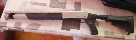 -Bocacha roscada para choques (viene cilíndrica)
-porta anillas orientable
-trirrail picantini para linternas, 01