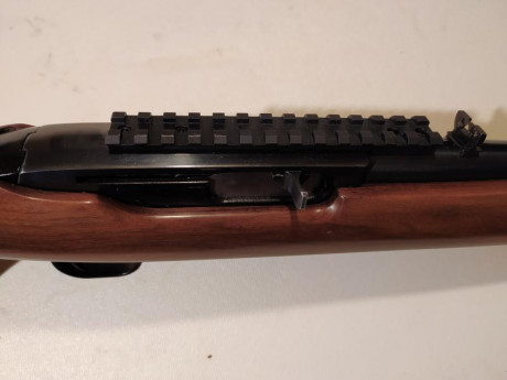 buscando ruger 44 deerfield  :ganster: 12