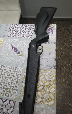 Vendo Norica Spider GRS en calibre 6,35 por 190 euros está en un estado impecable sin nada de óxido y 01