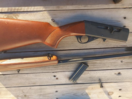 Carabina Anschutz calibre 22LR, muy cuidada y sin apenas uso, 250€ mas  información por privado 01