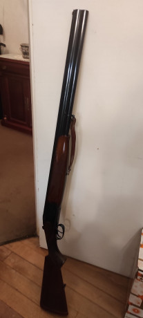 Vendo las siguientes escopetas:

No puedo poner datos de longitudes de cañón, porque las armas están depositadas 01