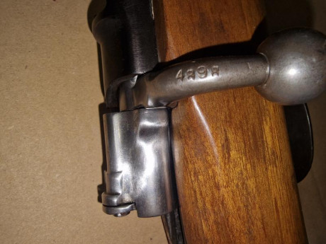 Buenos días, tengo un Mauser Oviedo desde hace poco tiempo y he observado dos cosas:

- Lo que parecen 50