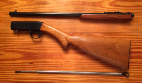- SE VENDE CARABINA FN BROWNING DEL CALIBRE.22 LR.
- FABRICADA EN HERSTAL, BÉLGICA. 
- DESMONTABLE. 
- 01