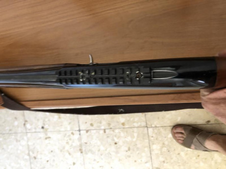 Vendo esta máquina de pegar tiros sin problemas. Choke fijo de tres estrellas. Va con un riel para punto 12