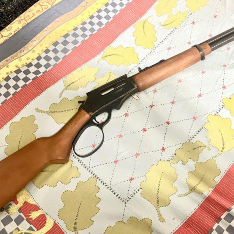 Palanquero Rossi Río Grande
Perfecto estado
Guiado en D
Calibre 45/70

Cerrar, gracias , tiene casa nueva 01