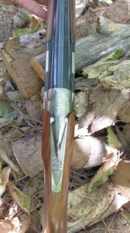 VENDO escopeta superpuesta marca Beretta, modelo Silver Pigeon, calibre 12/76.

Cañones de 66 cm, choques 11
