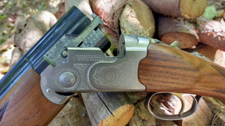 VENDO escopeta superpuesta marca Beretta, modelo Silver Pigeon, calibre 12/76.

Cañones de 66 cm, choques 10
