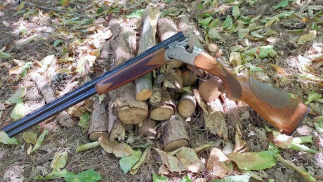 VENDO escopeta superpuesta marca Beretta, modelo Silver Pigeon, calibre 12/76.

Cañones de 66 cm, choques 31