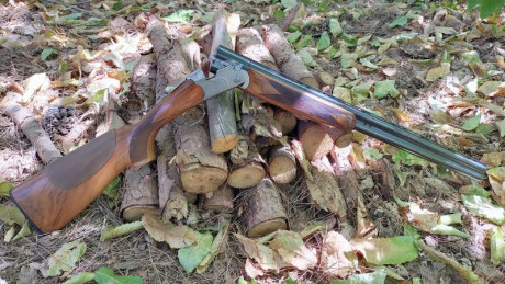 VENDO escopeta superpuesta marca Beretta, modelo Silver Pigeon, calibre 12/76.

Cañones de 66 cm, choques 30
