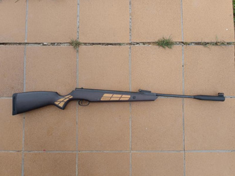Se vende carabina Norica modelo Black Eagle en calibre 4,5. Funciona perfectamente, actualmente está sacando 02