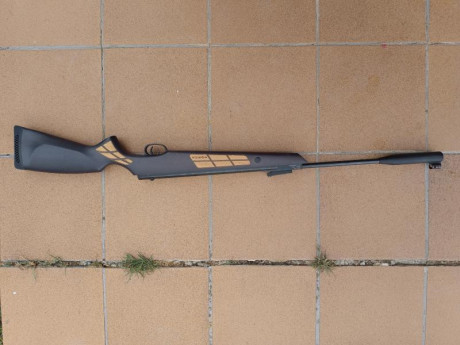 Se vende carabina Norica modelo Black Eagle en calibre 4,5. Funciona perfectamente, actualmente está sacando 01