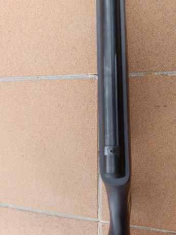 Se vende carabina Norica modelo Black Eagle en calibre 4,5. Funciona perfectamente, actualmente está sacando 41