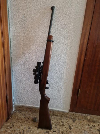 Vendida. Borrar 02