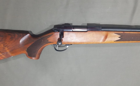 Vendo rifle Sako cal 6PPC usa, ultrapreciso por no darle uso por 700€.
Saludos. 02