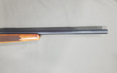 Vendo rifle Sako cal 6PPC usa, ultrapreciso por no darle uso por 700€.
Saludos. 01