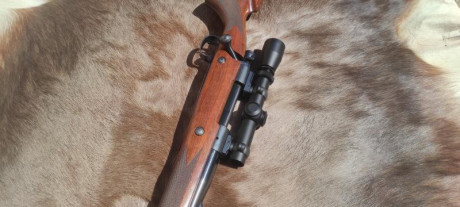 Vendo Rifle Winchester 70 pre-64. Mod. Safari Express.
Recamarado en 416 Rem. MAG.
Bases y anillas leupold 40